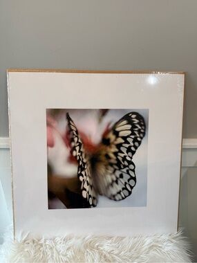 💫4/$25 • IKEA BILD Butterfly Art Print Picture
